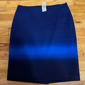 Ann Taylor Loft skirt .  Size 4P with its original tags.  Blue